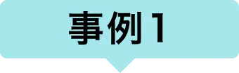事例 1