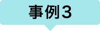 事例 3